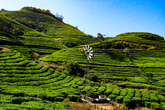 Vagamon